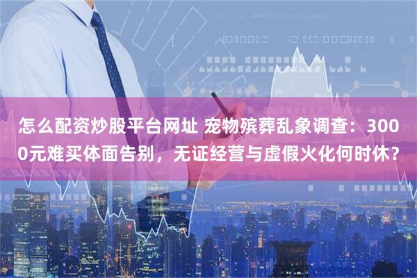 怎么配资炒股平台网址 宠物殡葬乱象调查：3000元难买体面告别，无证经营与虚假火化何时休？