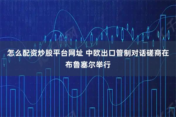 怎么配资炒股平台网址 中欧出口管制对话磋商在布鲁塞尔举行