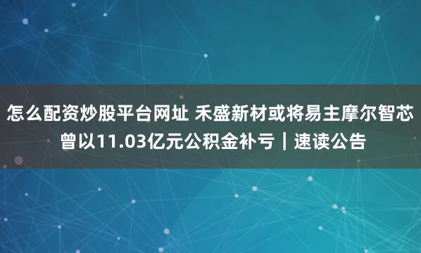 怎么配资炒股平台网址 禾盛新材或将易主摩尔智芯 曾以11.03亿元公积金补亏｜速读公告
