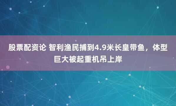 股票配资论 智利渔民捕到4.9米长皇带鱼，体型巨大被起重机吊上岸