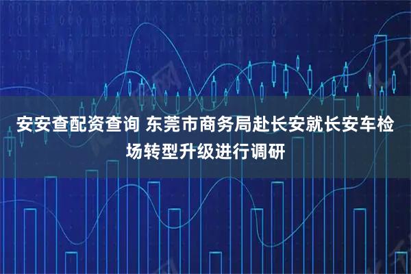 安安查配资查询 东莞市商务局赴长安就长安车检场转型升级进行调研