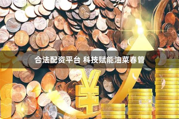 合法配资平台 科技赋能油菜春管